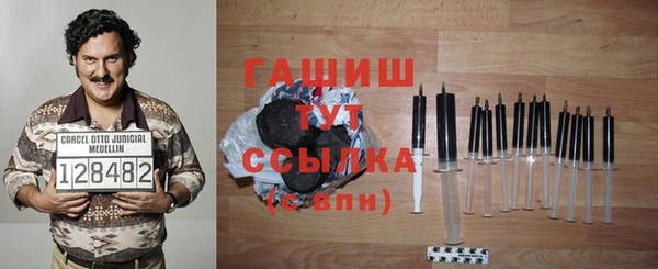 индика Гусиноозёрск