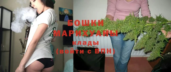 дживик Гусь-Хрустальный