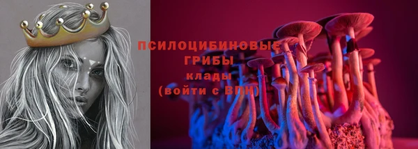 шишки Гусев