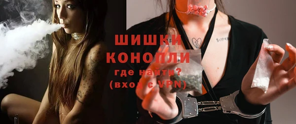 индика Гусиноозёрск