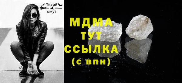 индика Гусиноозёрск