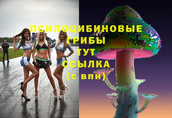 дживик Гусь-Хрустальный