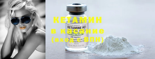 шишки Гусев