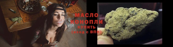индика Гусиноозёрск