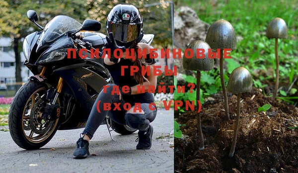 дживик Гусь-Хрустальный