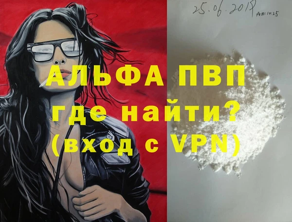 индика Гусиноозёрск