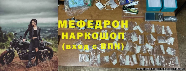 индика Гусиноозёрск