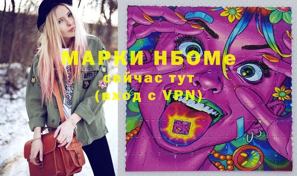 индика Гусиноозёрск