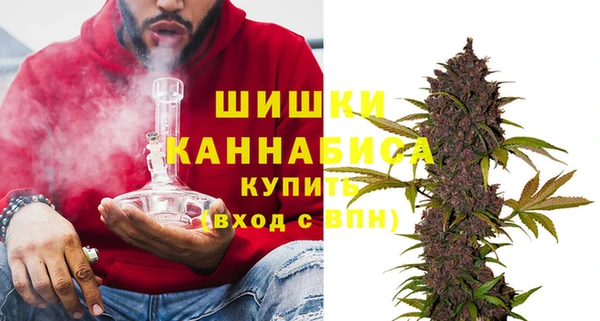 ПСИЛОЦИБИНОВЫЕ ГРИБЫ Дмитровск