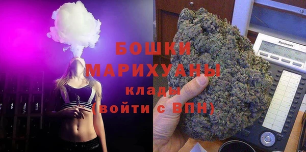 дживик Гусь-Хрустальный