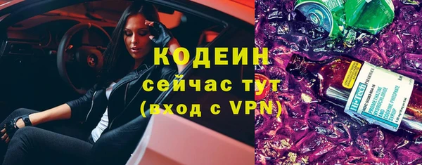 индика Гусиноозёрск