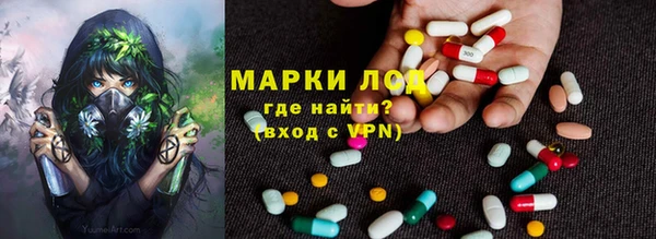 дживик Гусь-Хрустальный
