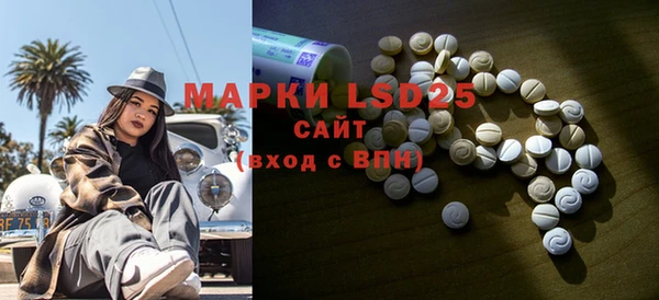 шишки Гусев