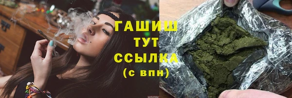 индика Гусиноозёрск