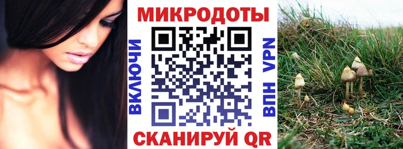 Купить закладки  Котельнич  Галлюциногенные грибы Psilocybine cubensis 